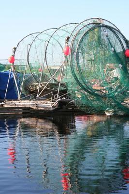 Read Green Fishing Networks in Finland Journal: 150 Page Lined Notebook/Diary - NOT A BOOK | ePub