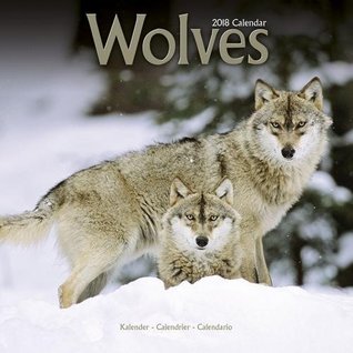 Download NOT A BOOK: Wolf Calendar - Wolves Calendar - Calendars 2017 - 2018 Wall Calendars - Animal Calendar - Wolves 16 Month Wall Calendar by Avonside - NOT A BOOK file in ePub