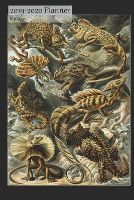 Read 2019-2020 Planner Vintage: Academic Student School Planner July 2019-2020 Weekly Calendar Organizer, Lizards Cover, 6x9, with Yearly and Montly Pages - NOT A BOOK | PDF