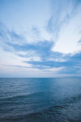 Read Notebear: View of the Skyline of the High Seas Journal - Sarah Bardino | ePub