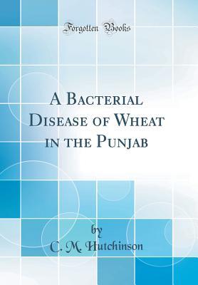 Download A Bacterial Disease of Wheat in the Punjab (Classic Reprint) - C M Hutchinson file in ePub